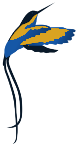 Doctorbird logo